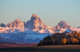 Grand Teton