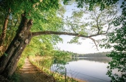 Bay Circuit Trail