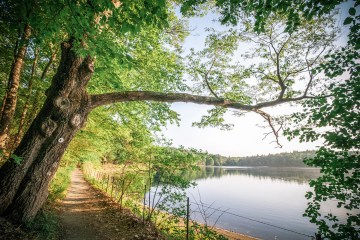 Bay Circuit Trail