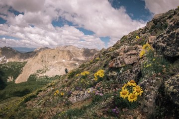 Mount Columbia