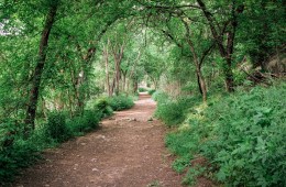 Violet Crown Trail