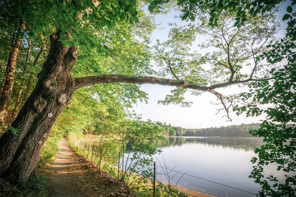 Every Trail Connects