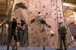 Indoor Climbing