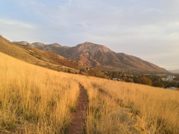 Every Trail Connects