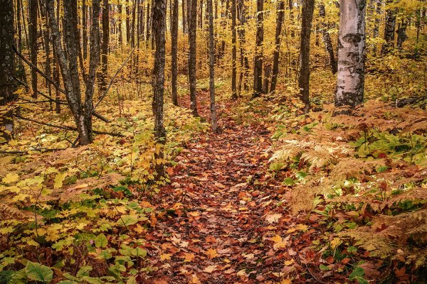 Every Trail Connects