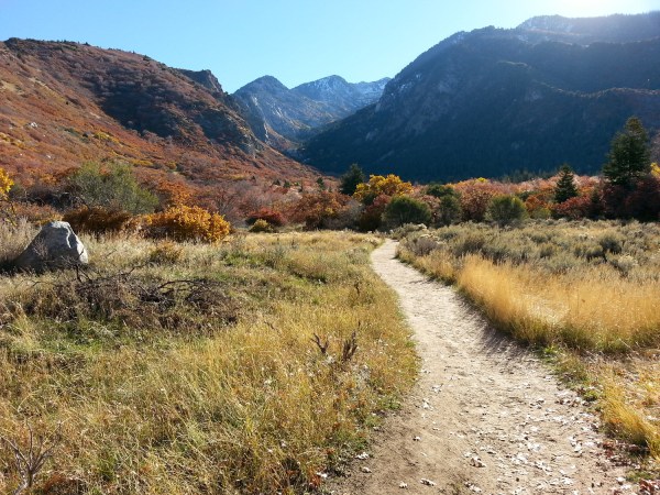 Every Trail Connects