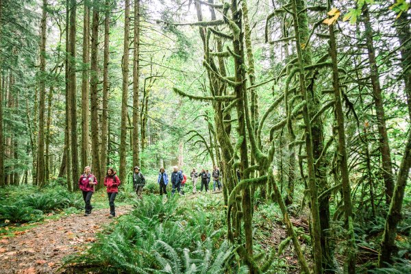 Middle Fork Trail