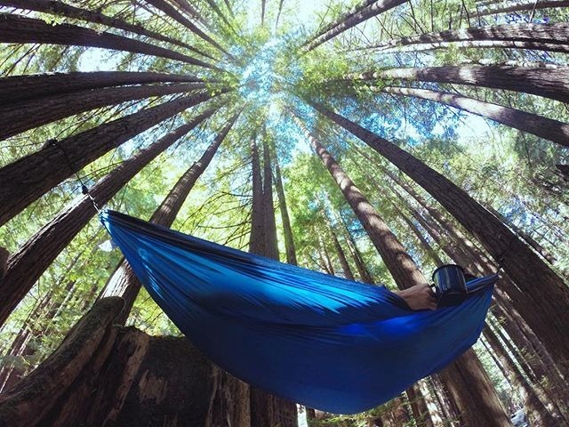 National Hammock Day