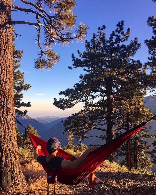 National Hammock Day