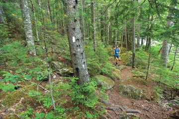 Ultrarunner Scott Jurek: Returning to the Roots