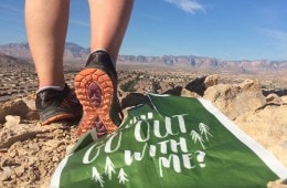 trail runner reached an overlook while choosing to opt outside