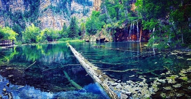 log floating in a lake