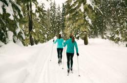 people cross-country skiing