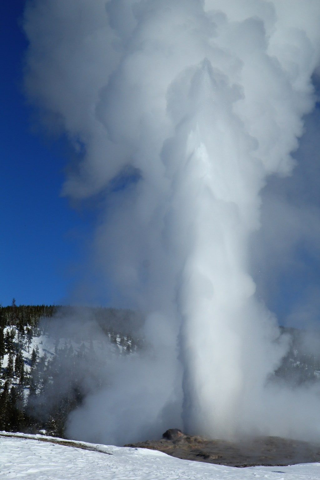 old faithful erupting