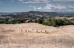 Trail runners on Bay Area Ridge Trail