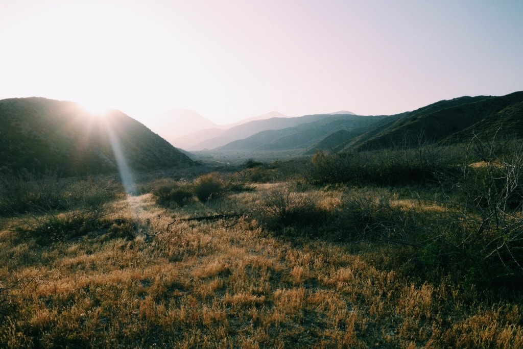 Field and mountains