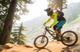 Bike Parks and the Evolving Ski Resort Economy