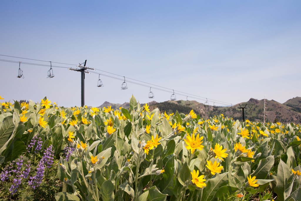 Squaw Valley ski hill during summer season. 