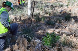 Participants in the EmpowHER for National Parks program work together to plant seedlings