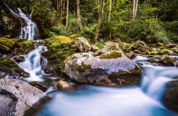 Mouse Creek Falls in a lush, green forest