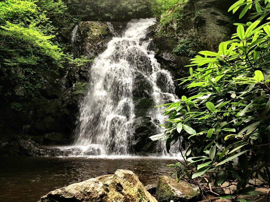 Spruce Flats Falls, Great Smoky Mountains National Park