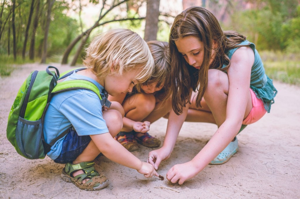  Seek out trails that are interesting early on in the hike. Bonus points for multiple “interesting for kids” stops along the way. 