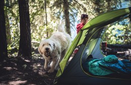 Tips for Backpacking with Your Dog