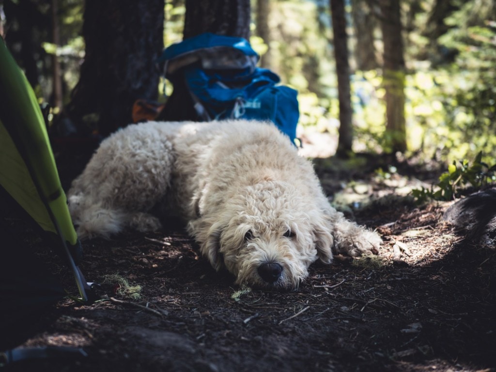 9. Backcountry grooming