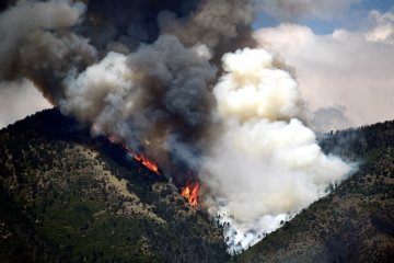 Silver Cree Fire