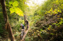 The Best Mountain Bike Rides Near Chicago