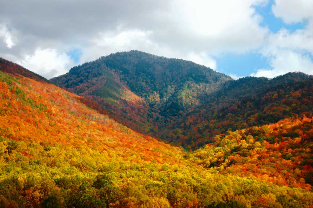 Great Smoky Mountains, NC Visitor Guide| REI Co-op Journal