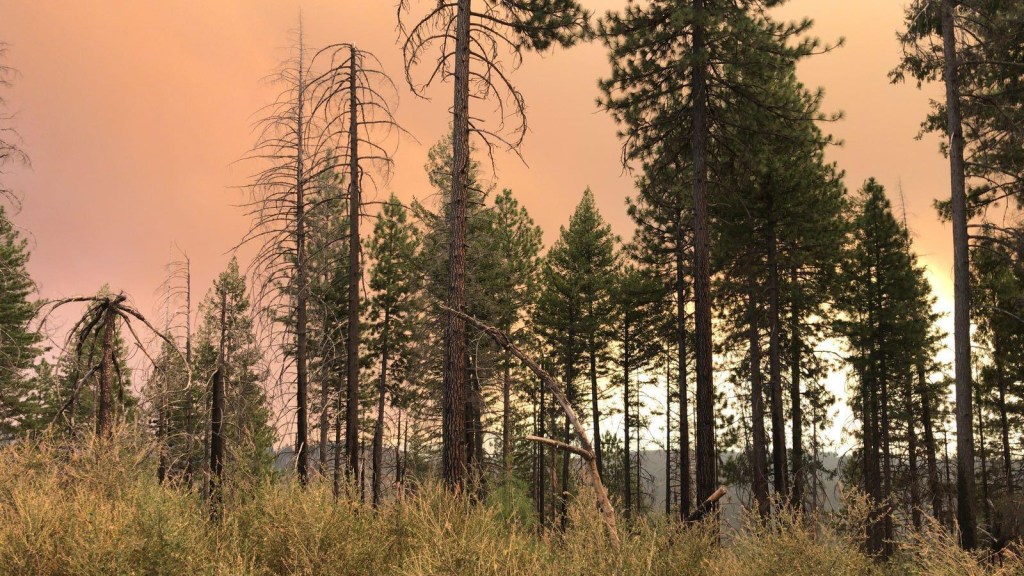 A red sky hangs over Mendocino County, CA. Photo courtesy of the U.S. Forest Service.