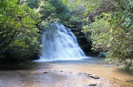 A waterfall in Headwaters State Forest