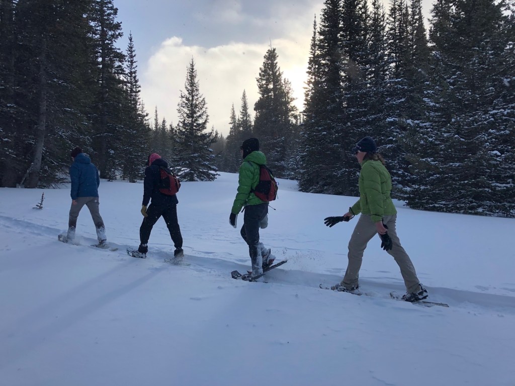 Four people snowshoe on a trail.