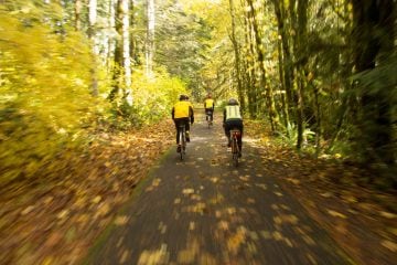 Cyclists take in the color on the Banks Vernonia trail.