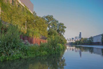 Chicago River Wild Mile