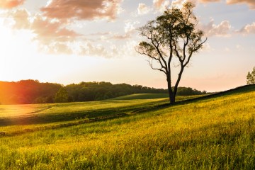 A Pennsylvania field with the sun shining on it in the morning