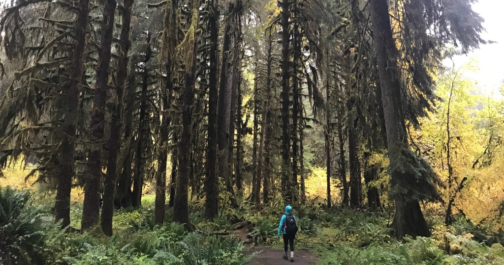 The author hiking through Olympic National Park, no cell phones involved.