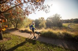 Runner and guide dog jog along a paved path with trees surrounding them.