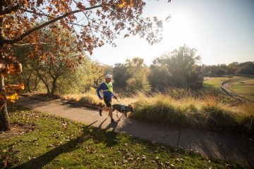 Runner and guide dog jog along a paved path with trees surrounding them.