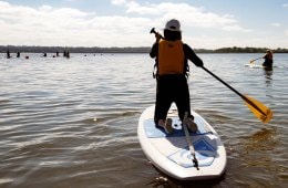 Stand up paddle boarder on the lake