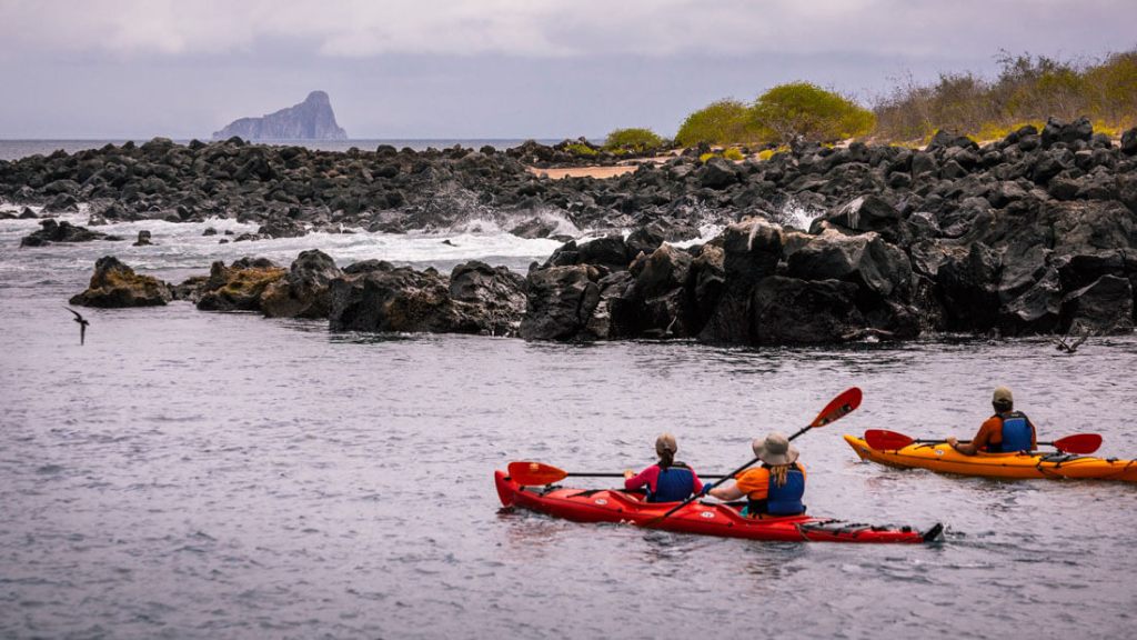 Kayakers paddle next to a rocky coastline. 