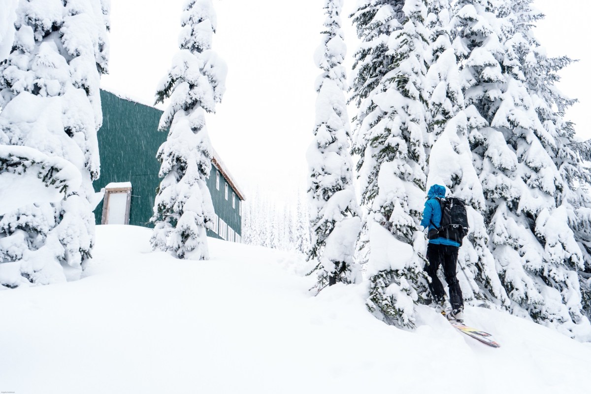 A skier skins up to a hut, through snowy trees.