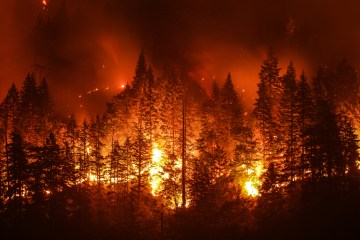 The Eagle Creek Fire.