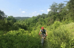 A cyclist makes their way through thick, green brush on a mountain bike with a blue sky in the background