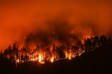 A hillside on fire due to the Eagle Creek Wildfire.