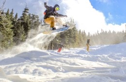 Vail Resorts to Buy 17 More Ski Areas