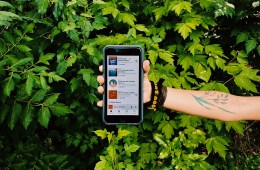 A hand holding a phone with podcasts pulled up on the screen in front of a green, leafy backdrop.