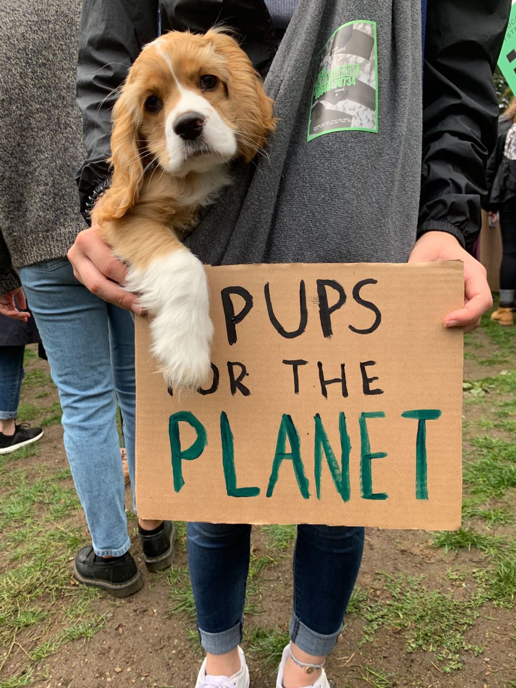 A sign at the Seattle climate march