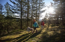 Two people hiking with a medium size dog with long hair